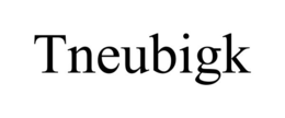 TNEUBIGK trademark