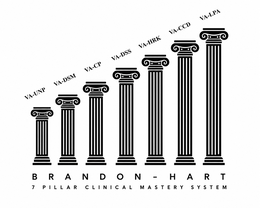 VA-UNP VA-DSM VA-CP VA-DSS VA-HRK VA-CCD VA-LPA BRANDON-HART 7 PILLAR CLINICAL MASTERY SYSTEM trademark