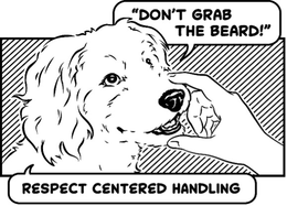 RESPECT CENTERED HANDLING "DON'T GRAB THE BEARD!" trademark
