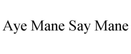 AYE MANE SAY MANE trademark