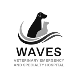 WAVES VETERINARY EMERGENCY AND SPECIALTY HOSPITAL trademark