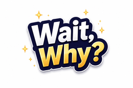 WAIT, WHY? trademark