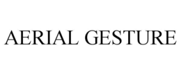 AERIAL GESTURE trademark