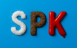 SPK trademark