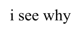 I SEE WHY trademark
