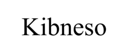 KIBNESO trademark