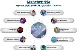 MITOCHONDRIA MASTER REGULATORS OF SYSTEMIC FUNCTION STRESS/MOOD STABILITY BRAIN/NERVOUS SYSTEM HORMONE PRODUCTION GUT MICROBIOME CARDIOVASCULAR HEALTH INFLAMMATION/OX-STRESS METABOLIC FLEXIBILITY MITOCHONDRIAL MEMBRANES & SYSTEM BARRIERS TOTAL TOXIN BURDEN IMMUNE SYSTEM trademark