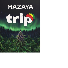 MAZAYA TRIP trademark