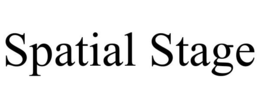 SPATIAL STAGE trademark