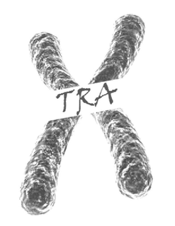 XTRA trademark