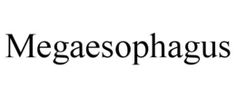 MEGAESOPHAGUS trademark