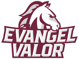 EVANGEL VALOR trademark