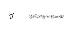 VOGEL LAND & CATTLE CO. trademark