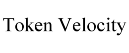 TOKEN VELOCITY trademark