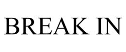BREAK IN trademark