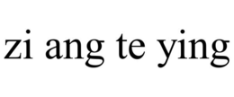 ZI ANG TE YING trademark