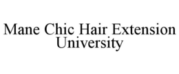MANE CHIC HAIR EXTENSION UNIVERSITY trademark