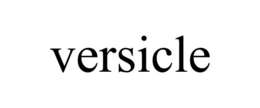 VERSICLE trademark