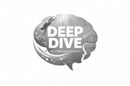 DEEP DIVE  WCS MASTERMIND ACADEMY trademark