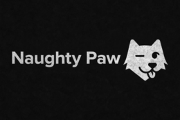 NAUGHTY PAW trademark