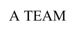 A TEAM trademark