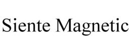 SIENTE MAGNETIC trademark