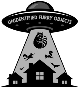 UNIDENTIFIED FURRY OBJECTS trademark