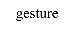 GESTURE trademark