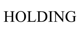 HOLDING trademark