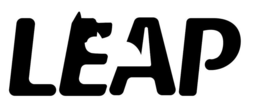 LEAP trademark
