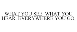 WHAT YOU SEE. WHAT YOU HEAR. EVERYWHERE YOU GO. trademark