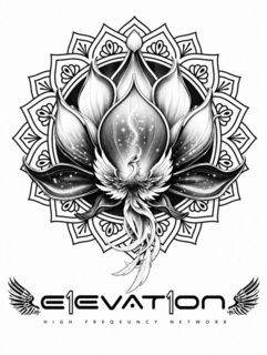E1EVAT1ON HIGH FREQEUNCY NETWORK trademark