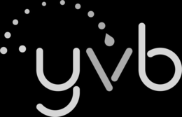 YVB trademark
