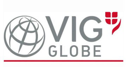 VIG GLOBE trademark