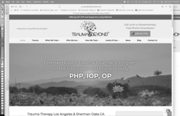 WE HAVE A VISUAL LOGO EITHER IN COLOR OR BLACK AND WHITE PLUS THE WORDS TRAUMA & BEYOND ARE REGISTERED HENCE THE R MARK IN A CIRCLE NEXT TO THE D trademark