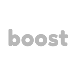 BOOST trademark