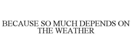 BECAUSE SO MUCH DEPENDS ON THE WEATHER trademark