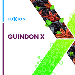 FUXION GUINDON X trademark