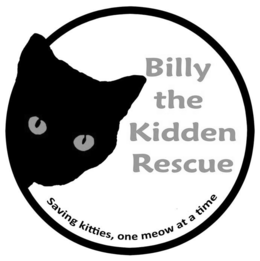 BILLY THE KIDDEN RESCUE SAVING KITTIES, ONE MEOW AT A TIME trademark