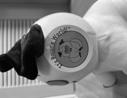 IT'S BACON'S WORLD! trademark