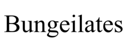 BUNGEILATES trademark