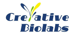 CREATIVE BIOLABS trademark