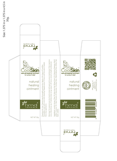 COOL SKIN NATURAL HEALING OINTMENT FOR SUNBURN RELIEF trademark