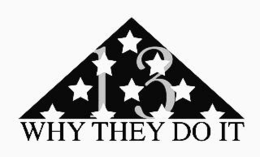 13 WHY THEY DO IT trademark