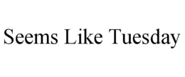 SEEMS LIKE TUESDAY trademark