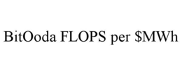 BITOODA FLOPS PER $MWH trademark
