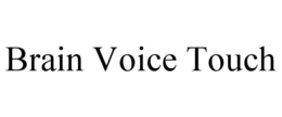 BRAIN VOICE TOUCH trademark