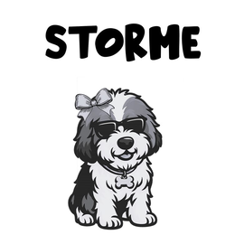 STORME trademark